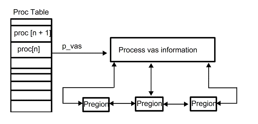 [Role of the vas structure]