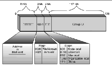 Multicast Address Format