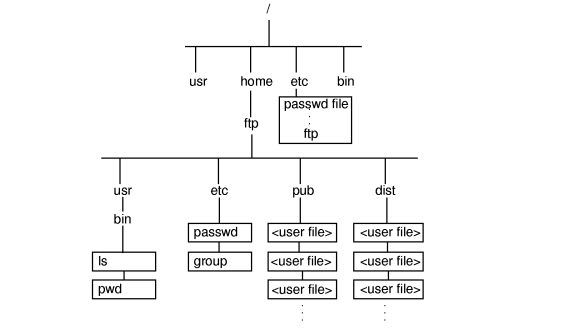 Directory Structure for Anonymous ftp Account