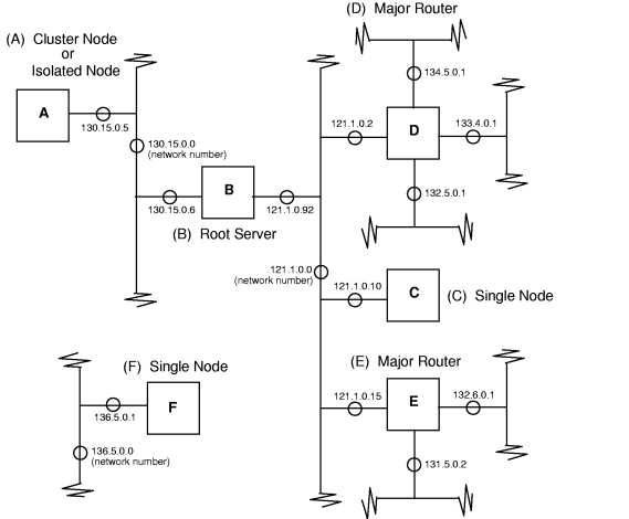 Example of Large RIP Network