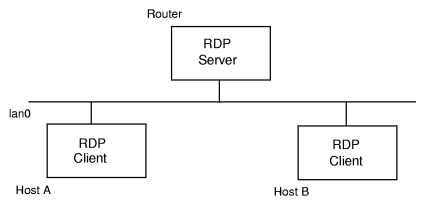 RDP Server and Clients Example