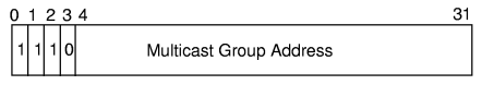 Class D IP multicast address format