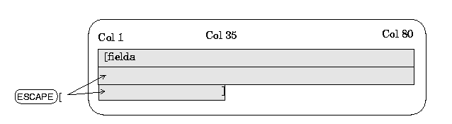 Example of a Field Extending over Several Lines