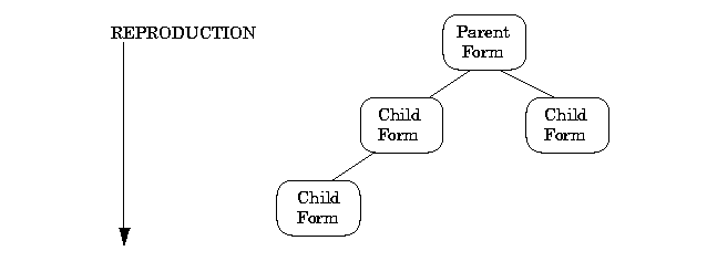 Form Family Relationship