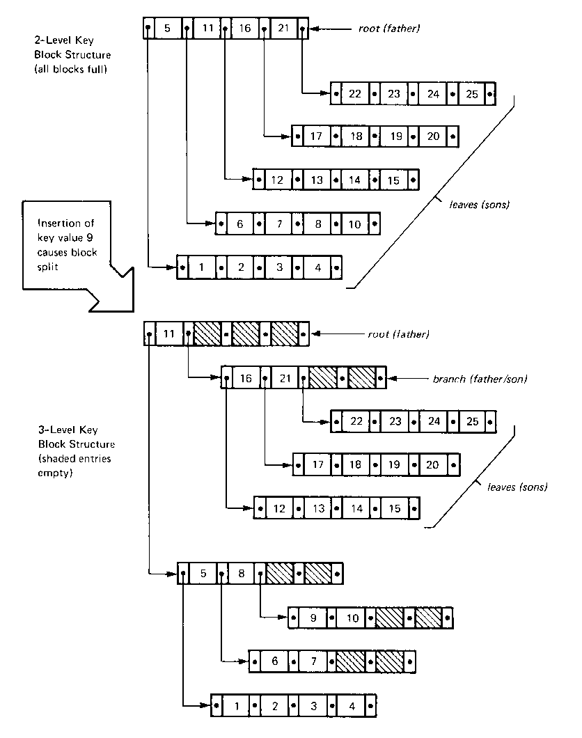 [Tree Growth from Two to Three Levels]