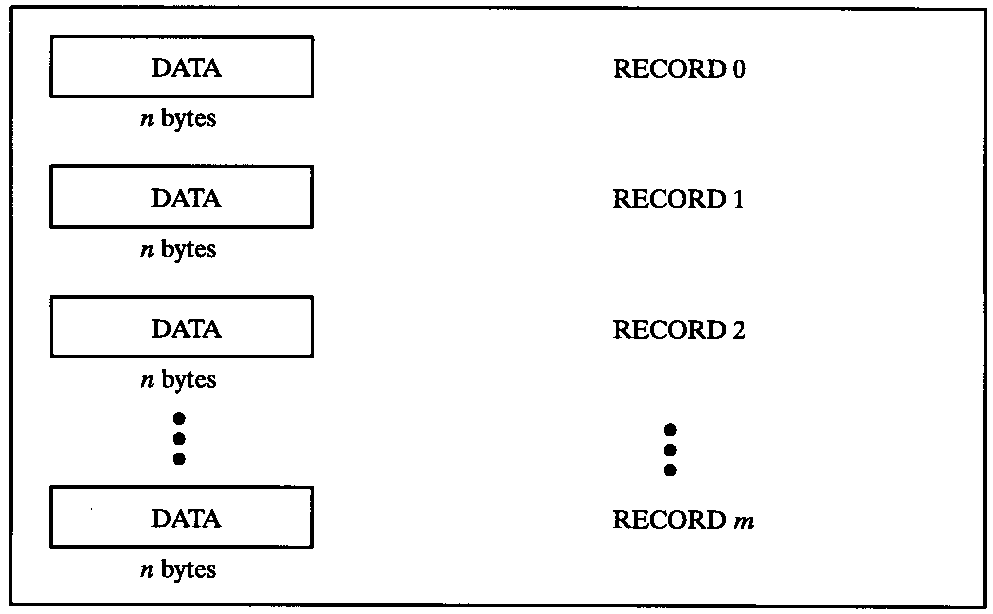 [Fixed-Length Records]