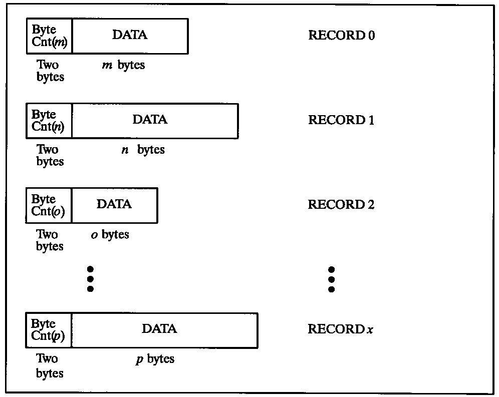 [Variable-length Records]