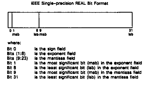 [IEEE Single-precision Real Number Format]