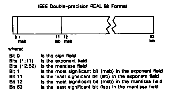 [IEEE Double-precision Real Number Format]