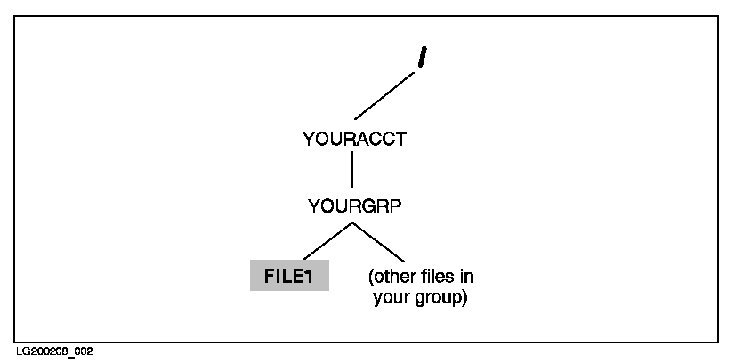 [Location of the File That You Created]