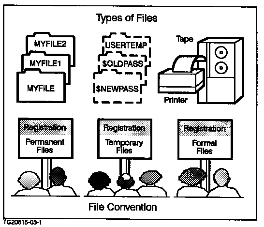 [File Types]