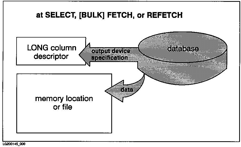 [Flow of LONG Column Data and Related Information from the Database]