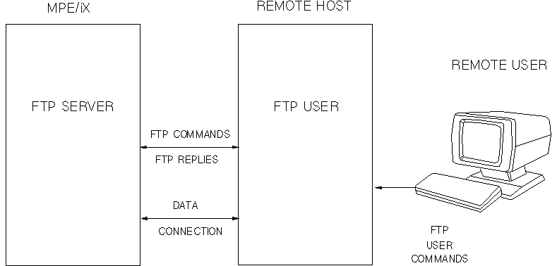 [FTP Client-Server Model]