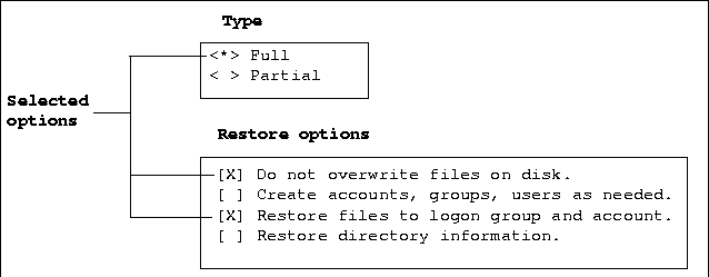 Selected Options