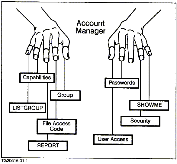 [Your Account Manager]