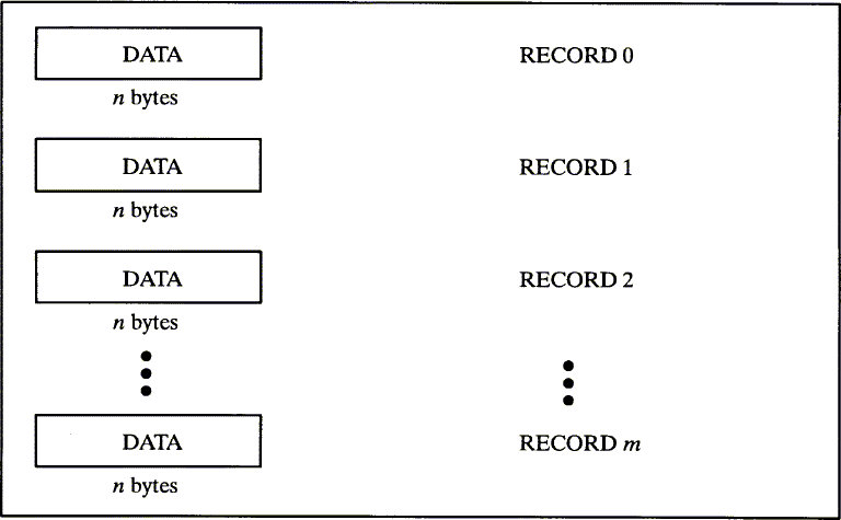 [Fixed-Length Records]