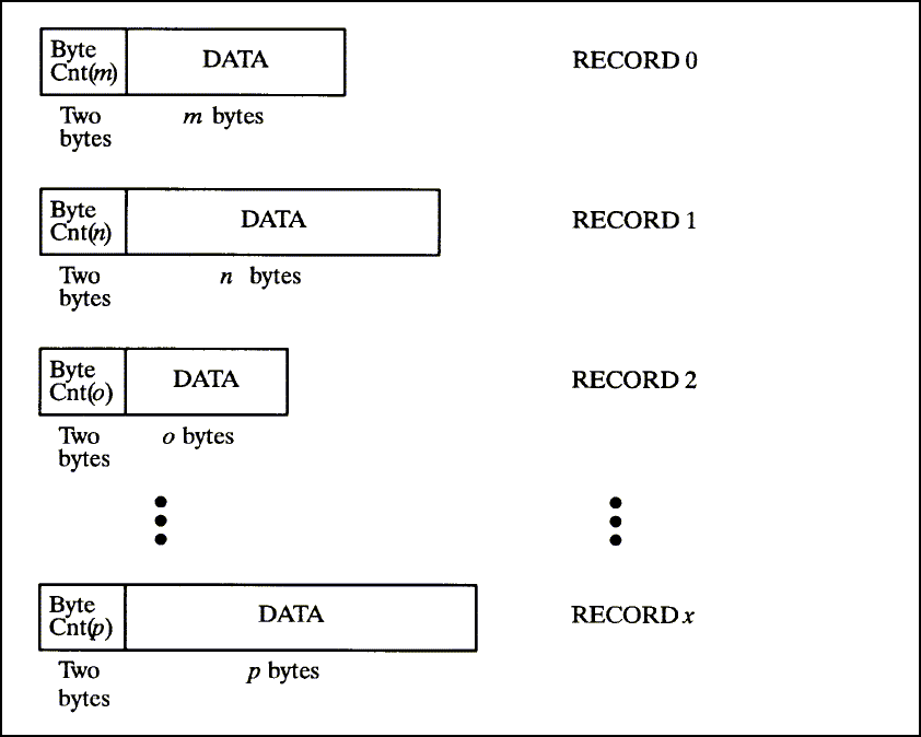 [Variable-length Records]